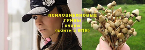apvp Шали