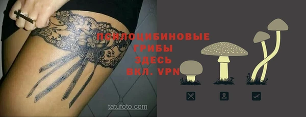 2c-b Куйбышев