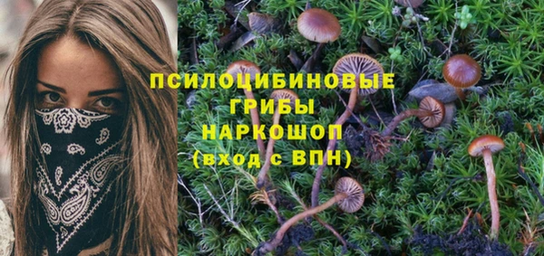 марихуана Краснотурьинск