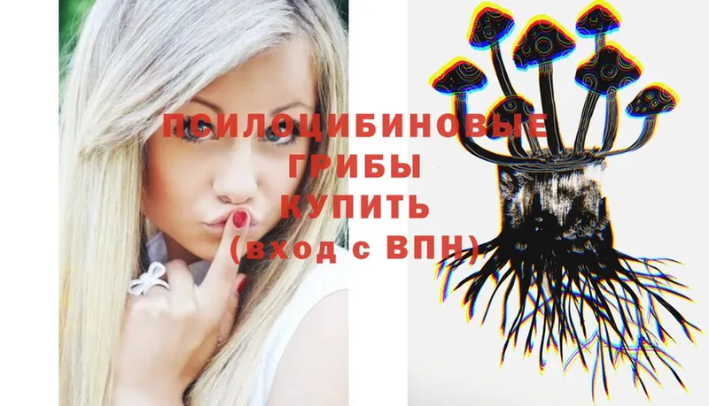Псилоцибиновые грибы ЛСД  Славск 