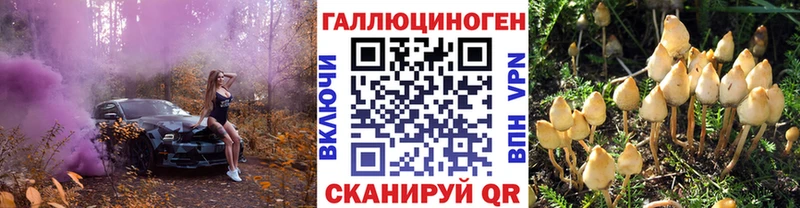 Галлюциногенные грибы мицелий  гидра как зайти  Славск 