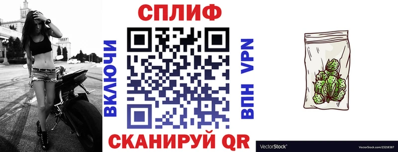 МАРИХУАНА сатива  Славск 